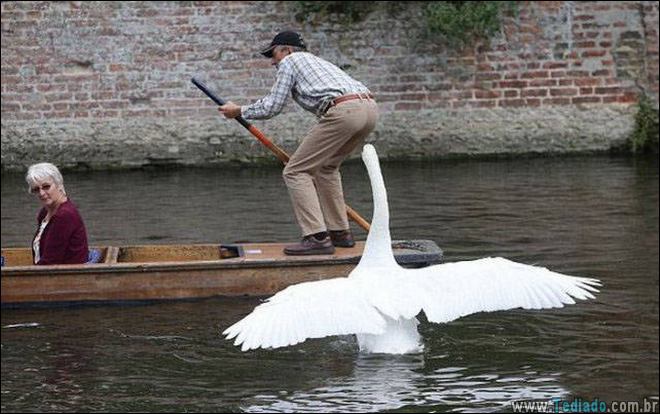 fotos-tiradas-no-momento-certo-27