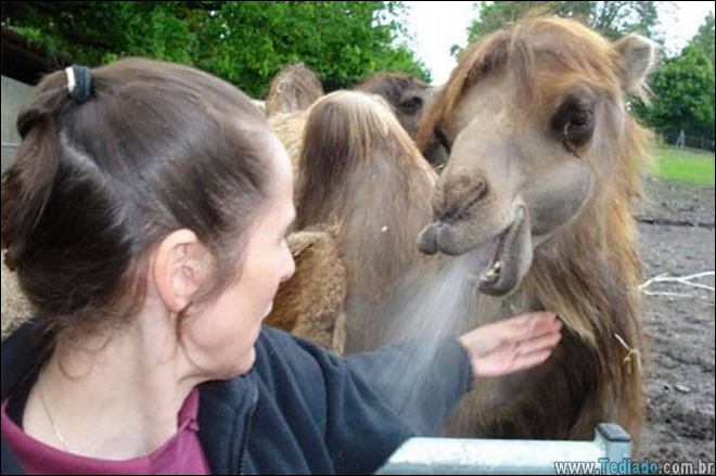 fotos-tiradas-no-momento-certo-31