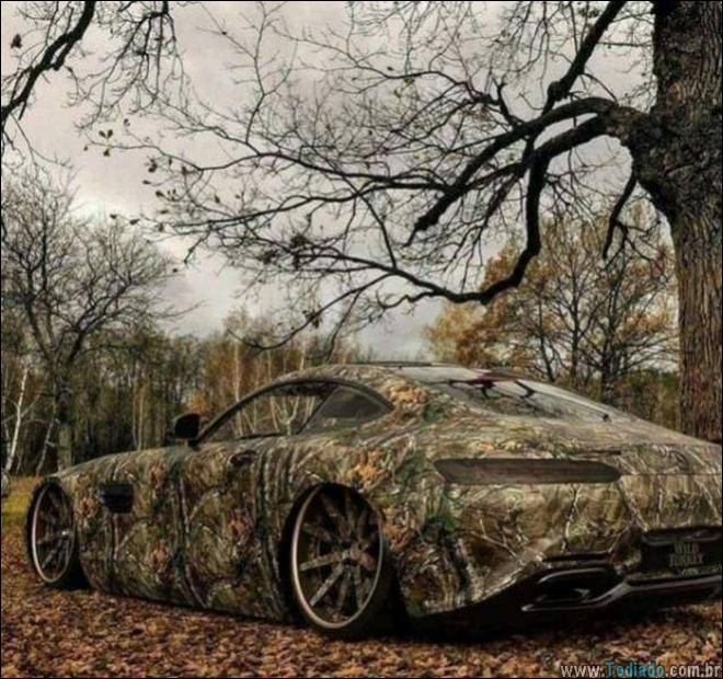 Pensou que você viu tudo nestas fotos? Verifique novamente (15 fotos) 9