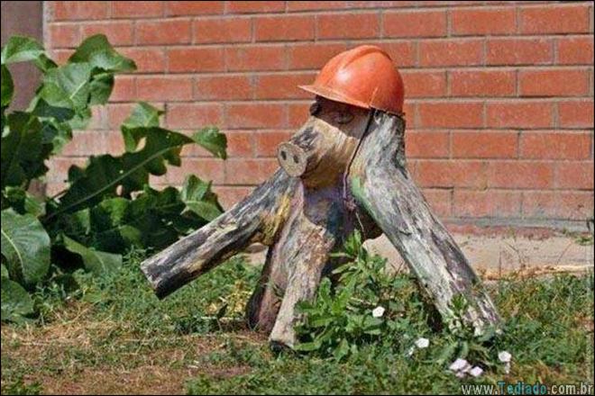 Pensou que você viu tudo nestas fotos? Verifique novamente (15 fotos) 10