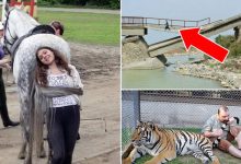 Estas 36 pessoas merecem um prêmio Idiota do ano 31
