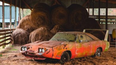 5 coisas mais incríveis encontradas em celeiros 8