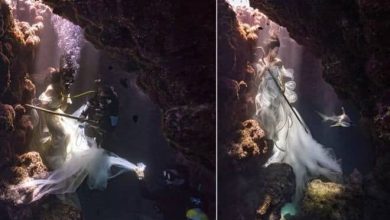 Nova coleção de fotos incríveis e fascinantes (17 fotos) 44