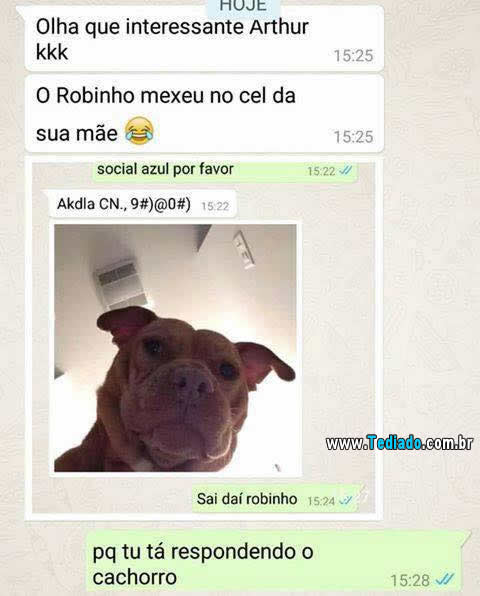 Conversando com o cachorro 1