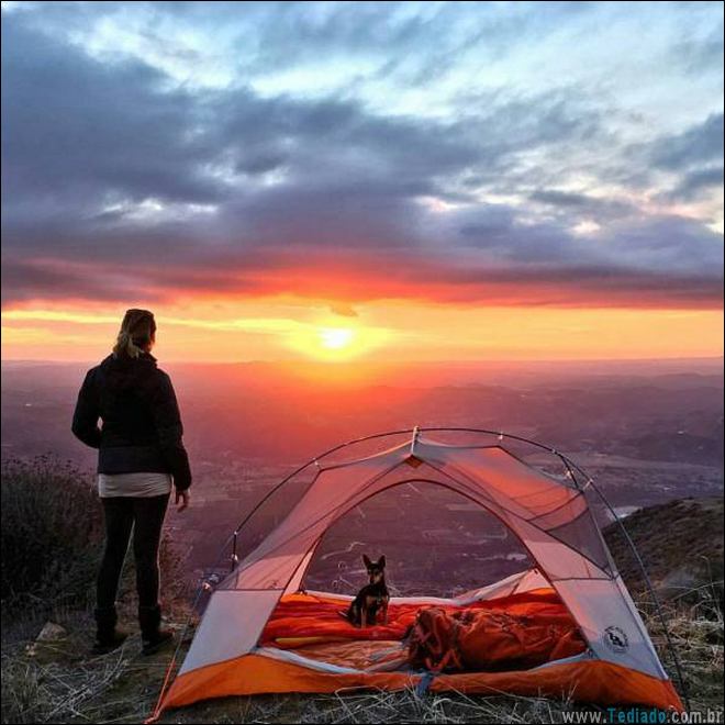 É por isso que a vida vale a pena ser vivida (34 fotos) 3