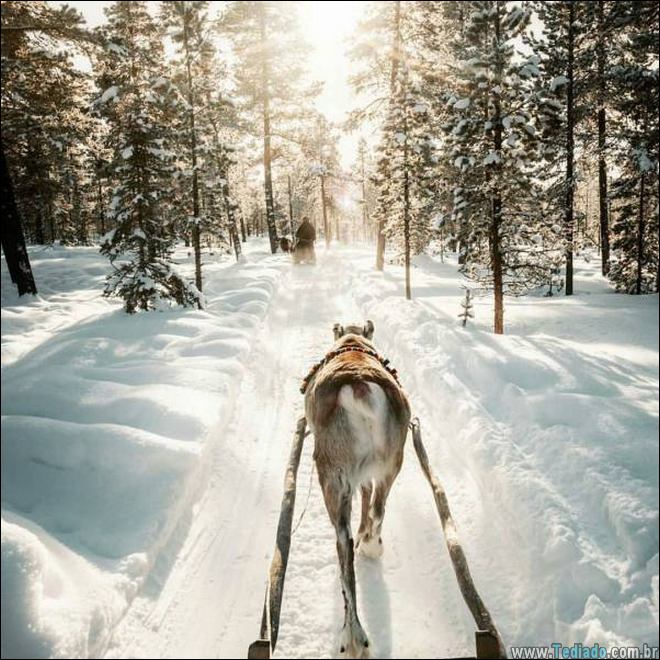 É por isso que a vida vale a pena ser vivida (34 fotos) 8