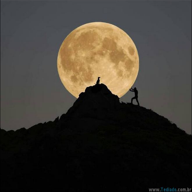 É por isso que a vida vale a pena ser vivida (34 fotos) 22