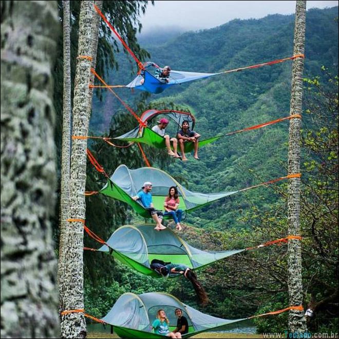 É por isso que a vida vale a pena ser vivida (34 fotos) 23