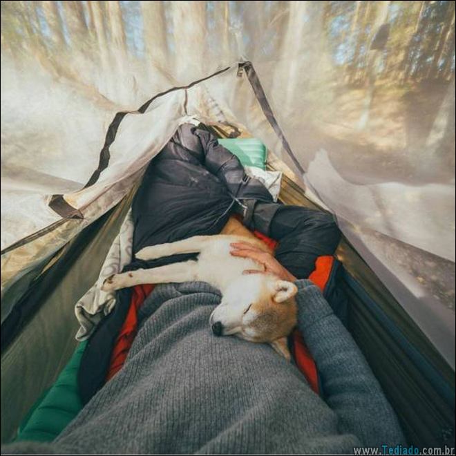 É por isso que a vida vale a pena ser vivida (34 fotos) 25