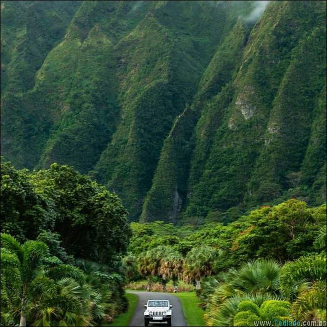 É por isso que a vida vale a pena ser vivida (34 fotos) 34