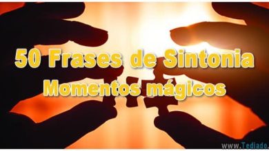 50 Frases de Sintonia - Momentos mágicos 5