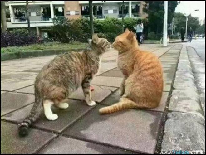 Uma linda historia de amor com um final triste 1