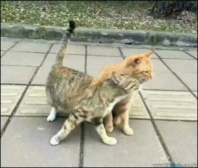 Uma linda historia de amor com um final triste 2