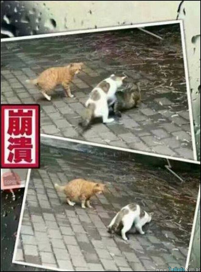 Uma linda historia de amor com um final triste 3