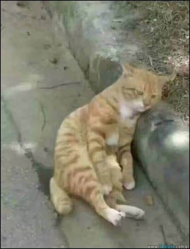 Uma linda historia de amor com um final triste 4