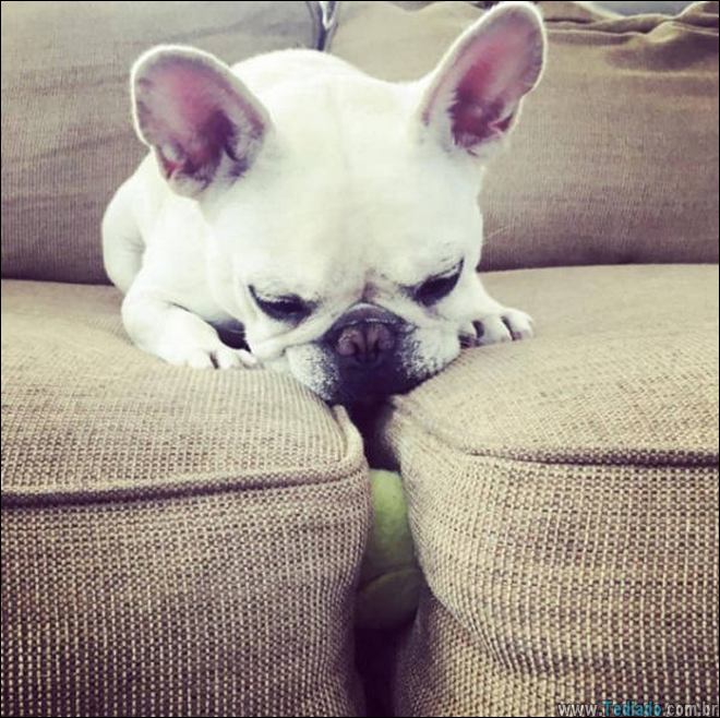 15 fotos que é tão triste que você vai querer rastejar para sua cama e chorar 12