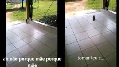 Papagaio boca suja falando um onde de palavrão para a dona 7