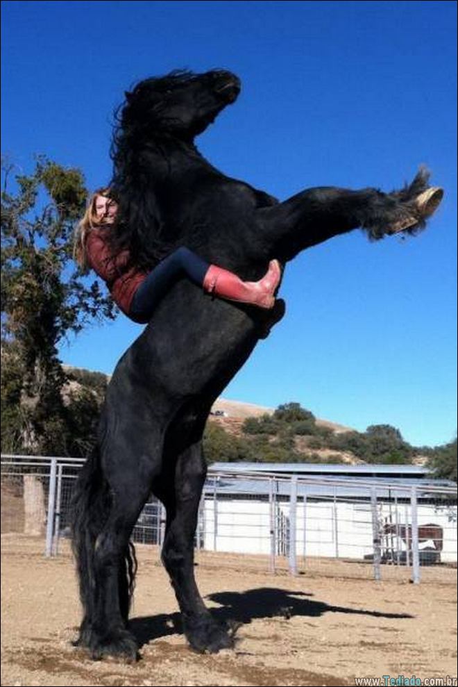 24 Pessoas praticando esportes e divertindo 5