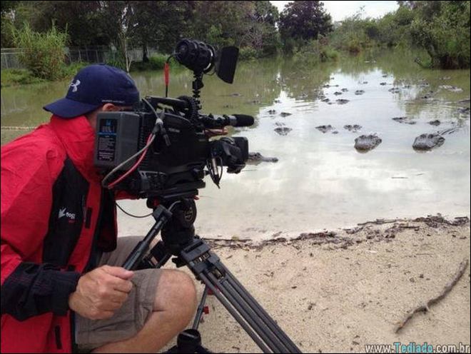 29 pessoas que simplesmente nasceu sem seu instinto de auto-preservação 20