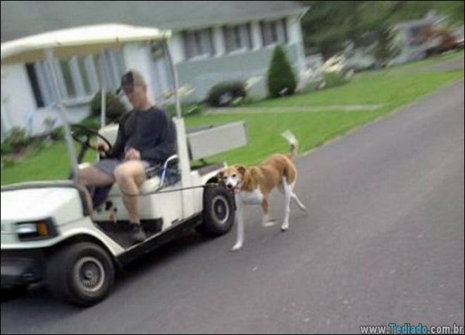 Quando a preguiça é empurrada para um novo nível (32 fotos) 2