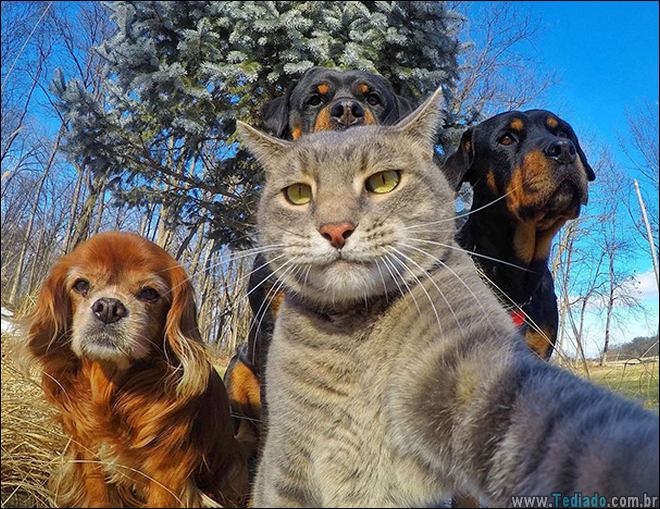 26 Selfies de animais que o farão sorrir 3