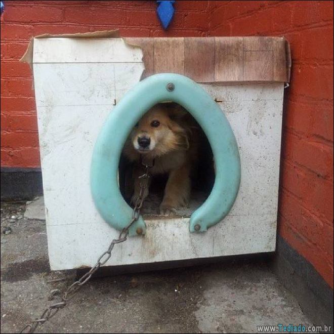 As melhores gambiarras de pobre #07 (40 fotos) 27