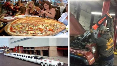 Tamanho realmente não importa quando se trata de coisas extra grande (27 fotos) 9