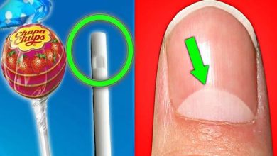 10 Coisas que você não sabe para que servem 6