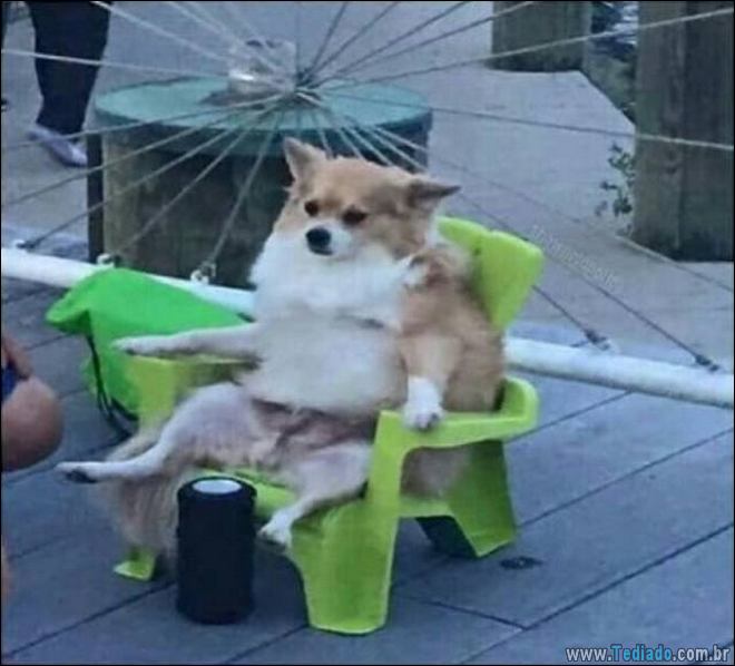 Imagens diversas #23 (18 fotos) 9