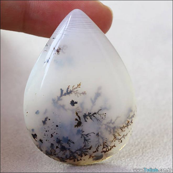 Imagens diversas #23 (18 fotos) 16