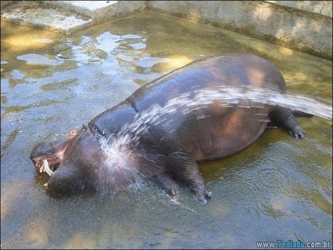 Mais do que apenas uma foto (25 fotos) 23