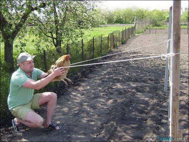 Os homens são uma espécie muito estranha certamente (22 fotos) 21