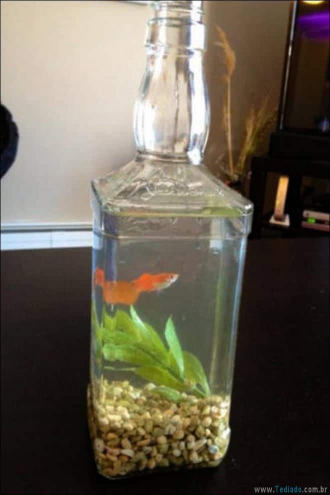 Quando a engenharia está fluindo através de suas veias (27 fotos) 8