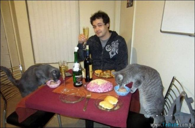 Socorro! Meu humano é um idiota (42 fotos) 3