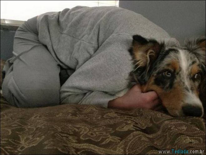 Socorro! Meu humano é um idiota (42 fotos) 9