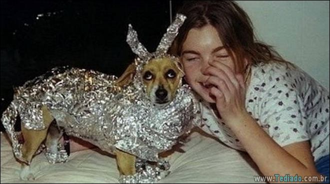 Socorro! Meu humano é um idiota (42 fotos) 11