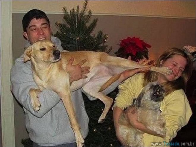 Socorro! Meu humano é um idiota (42 fotos) 17