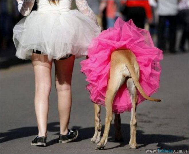 Socorro! Meu humano é um idiota (42 fotos) 33