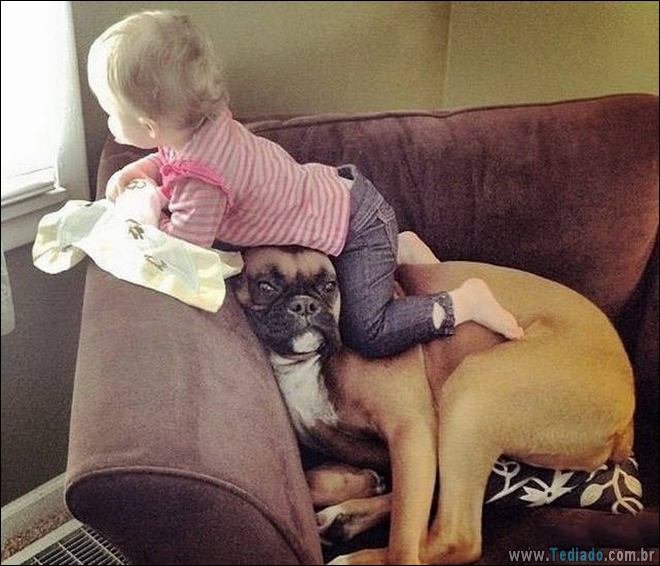 Socorro! Meu humano é um idiota (42 fotos) 40