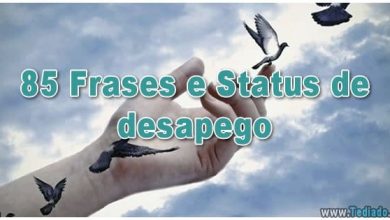 85 Frases e Status de desapego 5