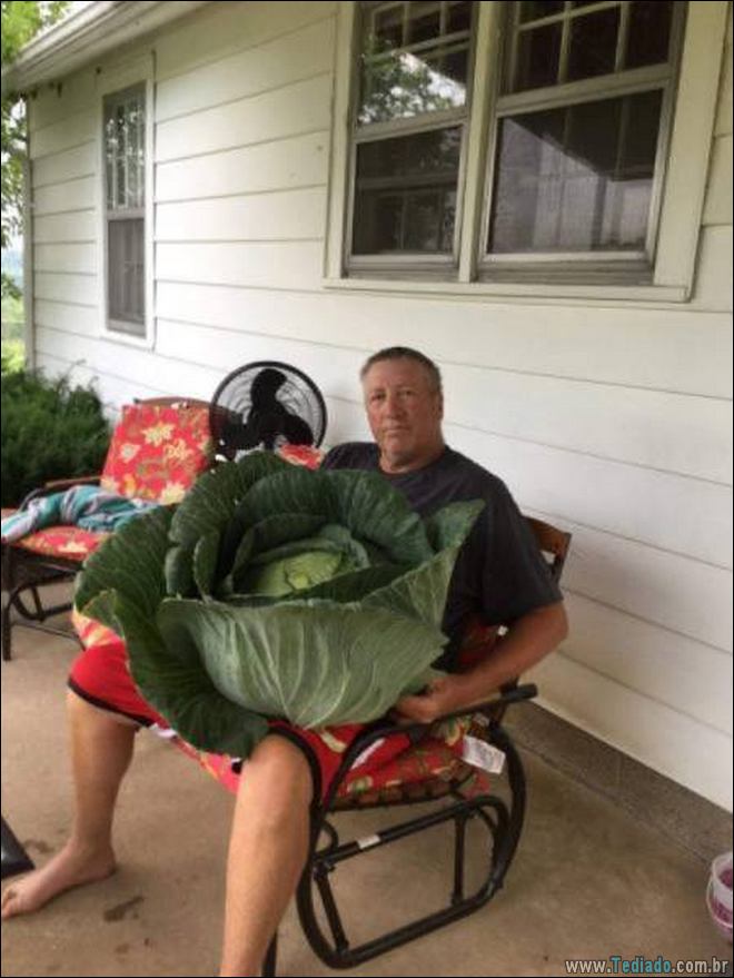 Tamanho realmente não importa quando se trata de coisas extra grande (27 fotos) 16