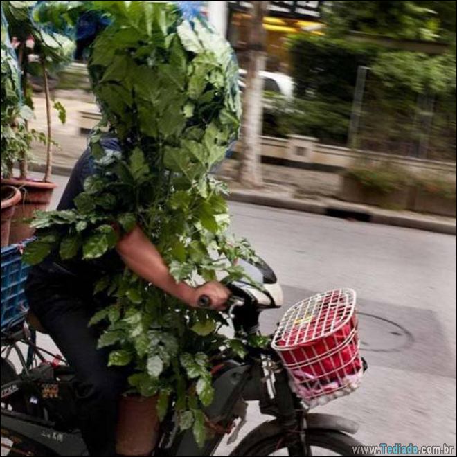 Tentativas agradáveis de fazer coisas certas, porém esta fazendo errado (21 fotos) 6