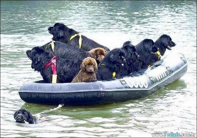 WTF eu apenas olhei? (21 fotos) 4