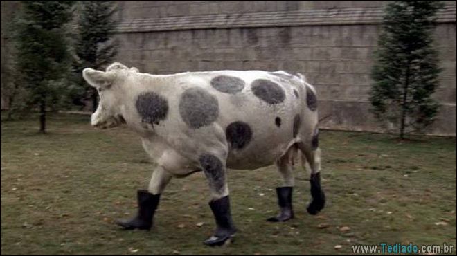 WTF eu apenas olhei? (21 fotos) 5