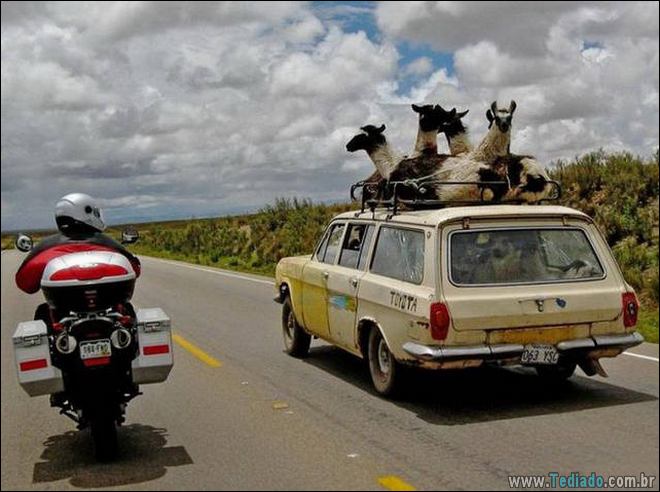 WTF eu apenas olhei? (21 fotos) 10