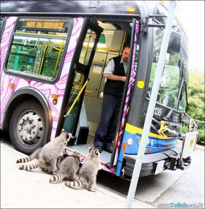 WTF eu apenas olhei? (21 fotos) 14