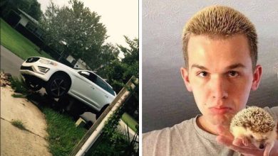 Coisas ruins acontece com todo mundo (20 fotos) 8