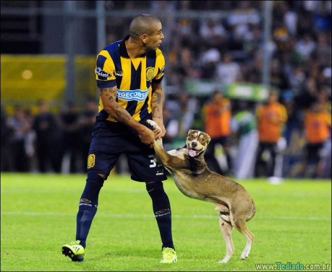 Esportes podem ser tão estranhos às vezes (26 fotos) 24