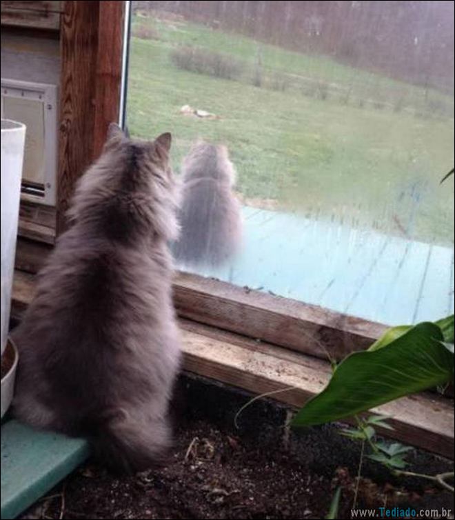 Será que existem algum tipo de truque para estas fotos (34 fotos) 4