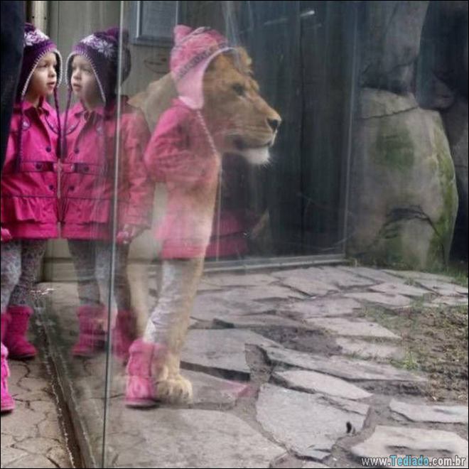 Será que existem algum tipo de truque para estas fotos (34 fotos) 6